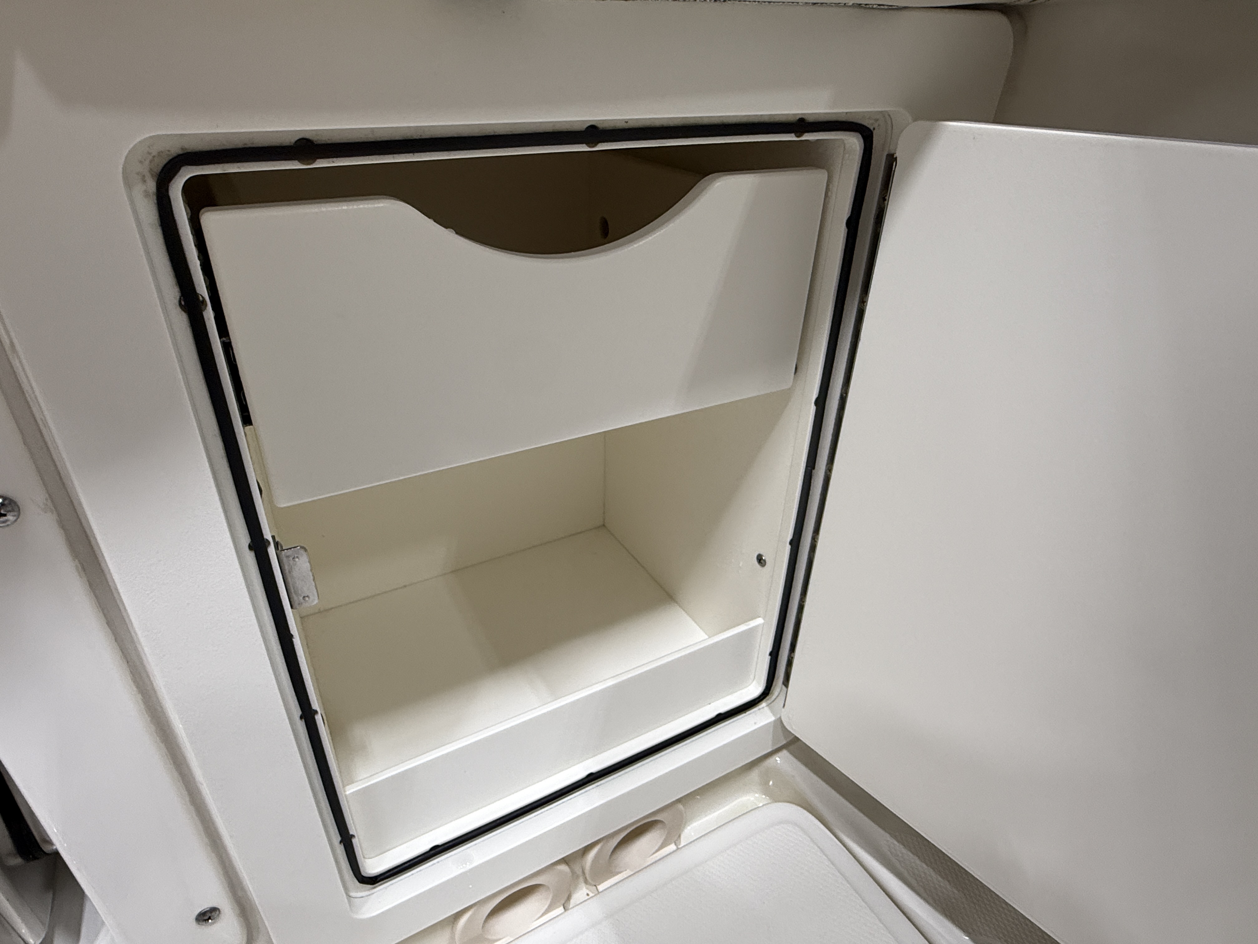 2021 Boston Whaler 250 Outrage